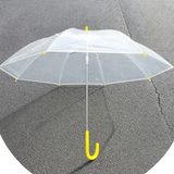 Clear Umbrella