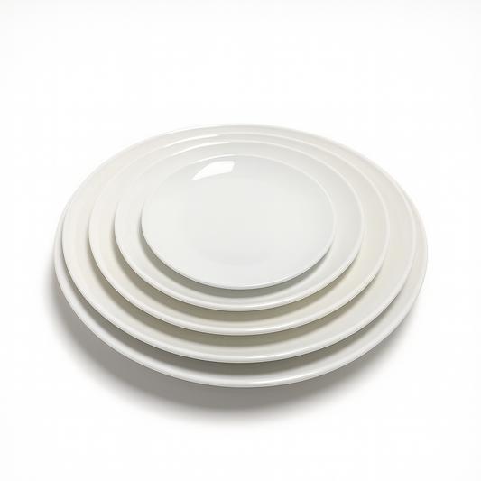 Circle Dish 16